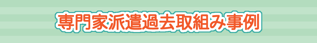 専門家派遣過去取組み事例